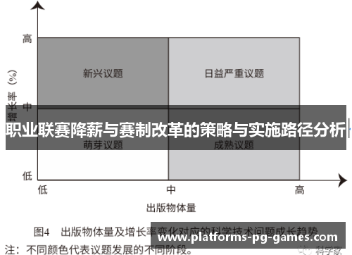职业联赛降薪与赛制改革的策略与实施路径分析