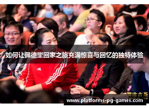 如何让佩德里回家之旅充满惊喜与回忆的独特体验