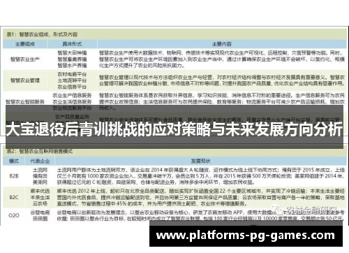 大宝退役后青训挑战的应对策略与未来发展方向分析