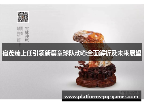宿茂臻上任引领新篇章球队动态全面解析及未来展望