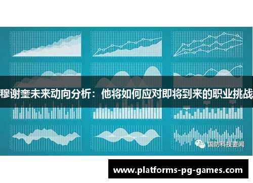 穆谢奎未来动向分析：他将如何应对即将到来的职业挑战