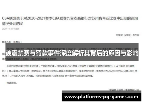 魏震禁赛与罚款事件深度解析其背后的原因与影响
