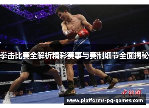 拳击比赛全解析精彩赛事与赛制细节全面揭秘 拳击比赛全解析精彩赛事与赛制细节全面揭秘