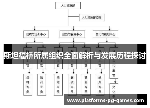 斯坦福桥所属组织全面解析与发展历程探讨 斯坦福桥所属组织全面解析与发展历程探讨