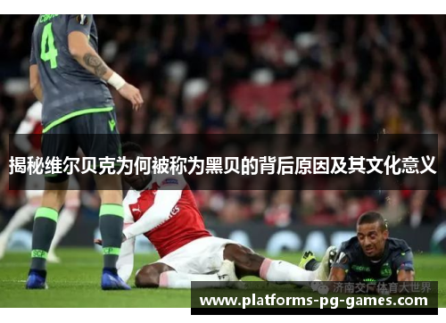 揭秘维尔贝克为何被称为黑贝的背后原因及其文化意义 揭秘维尔贝克为何被称为黑贝的背后原因及其文化意义