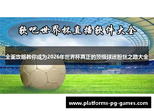 全面攻略教你成为2026年世界杯真正的顶级球迷粉丝之路大全